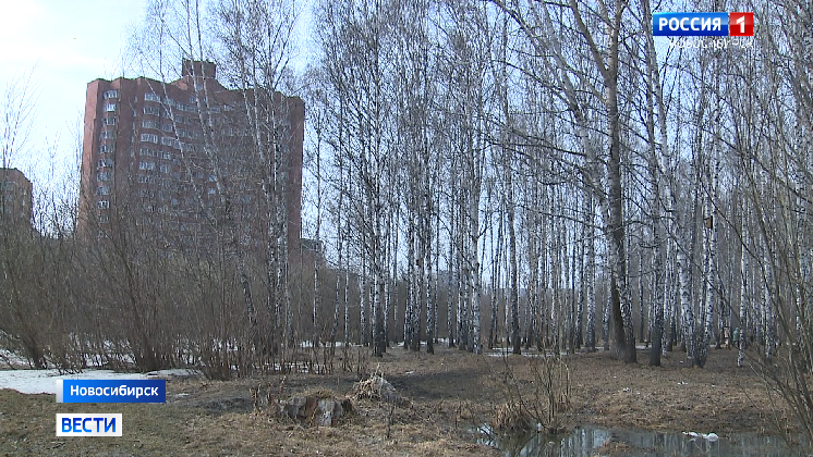 В пойме реки Каменка в Новосибирске появится уникальный парк