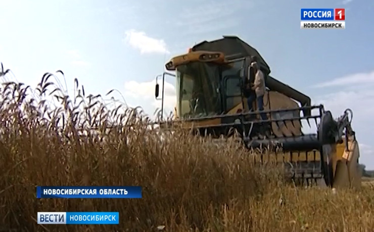 Аграрии Новосибирской области заканчивают уборочную кампанию