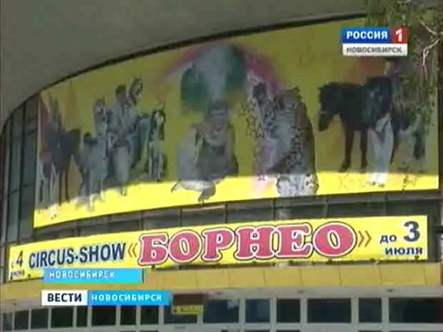 В Новосибирском цирке новая программа