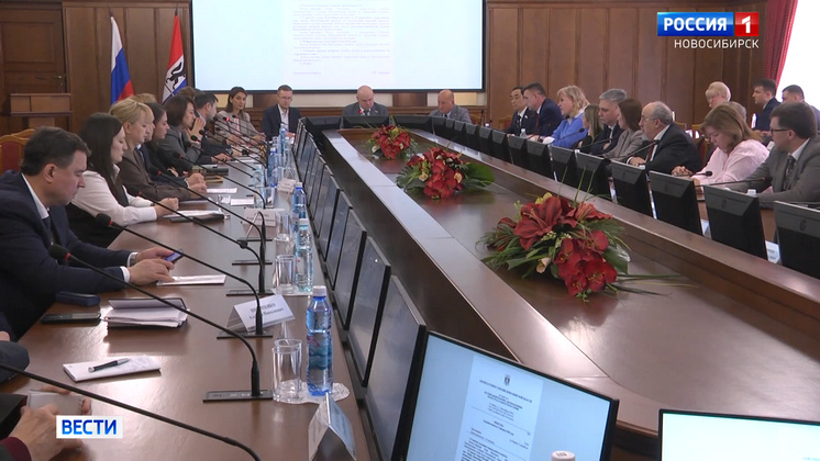 В Новосибирской области стало меньше детей без попечения родителей и сирот