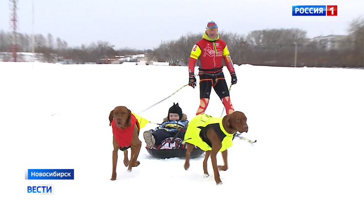 День снега и зимних видов спорта отметили в Новосибирске