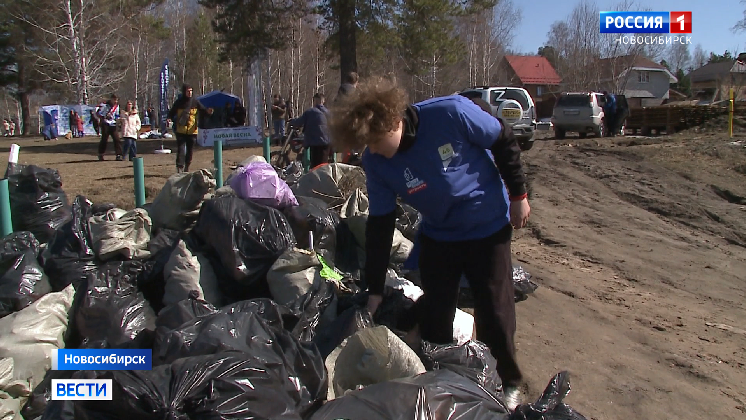 В Новосибирске на экофестивале провели семейные мастер-классы и убрали мусор