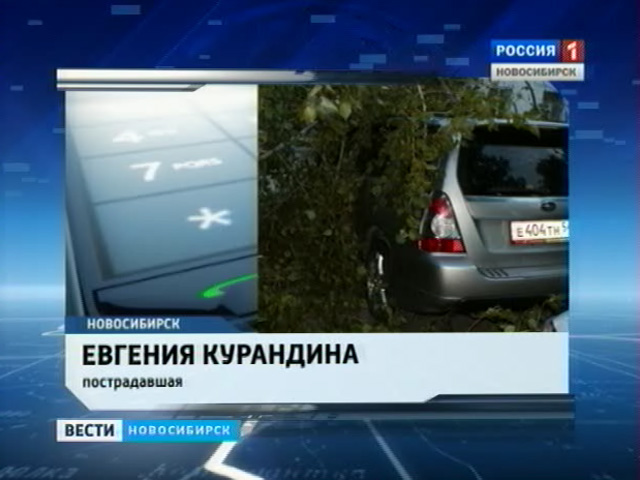 В центре Новосибирска ветка тополя упала на крышу припаркованного автомобиля