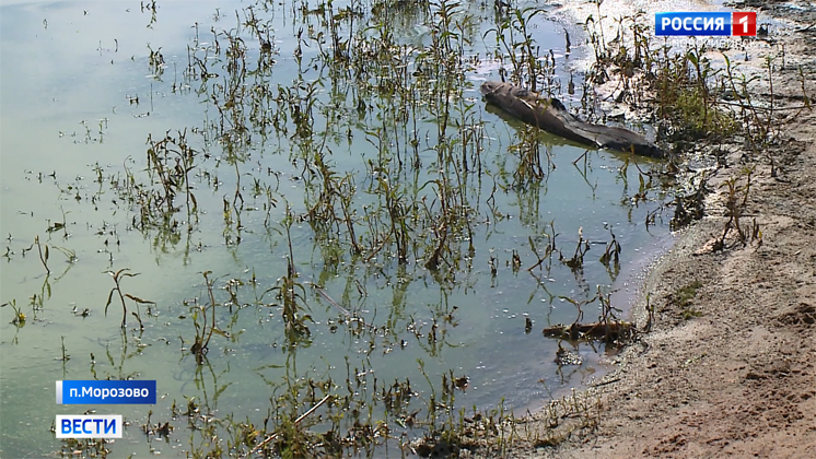 Причину неестественного цвета воды в реке Бердь выясняют специалисты