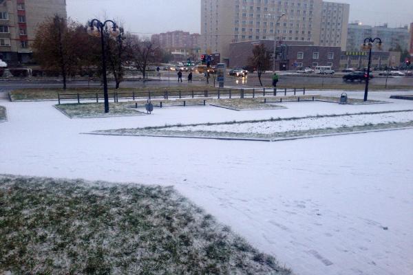 В Новосибирске выпал первый осенний снег