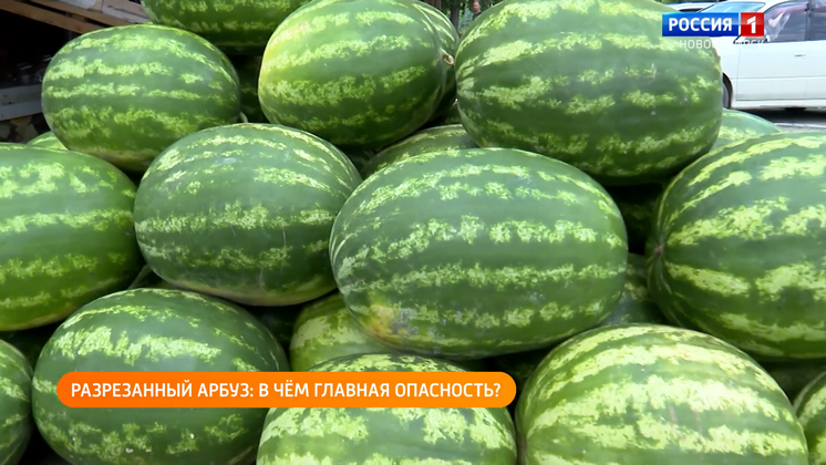 Полезная передача: жизнь в наукограде и секреты выбора арбуза