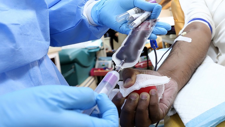 Больше 26 литров крови сдали новосибирские доноры