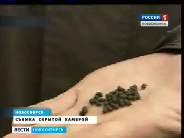 В Новосибирске в открытую продается опасное вещество - насвай