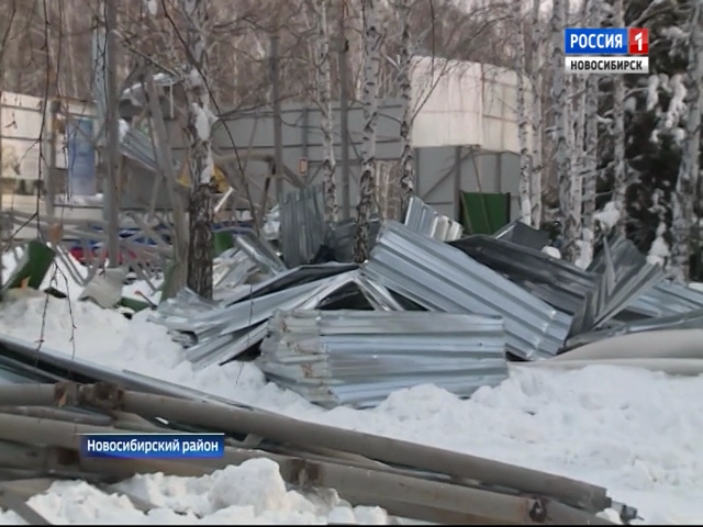 Падение крыши конного клуба в Бердске: главное
