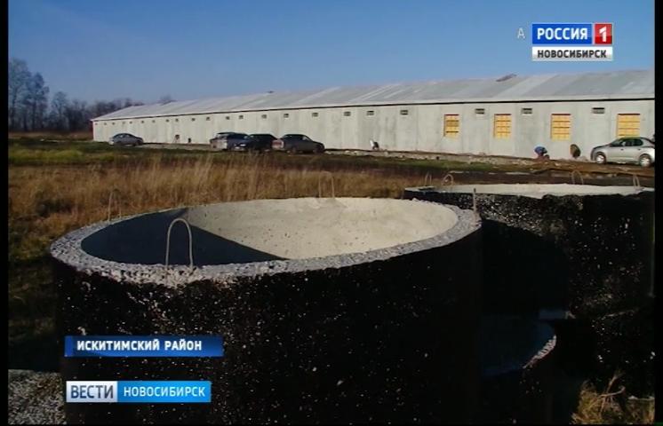 В Новосибирской области строят птицефабрику по выращиванию утки