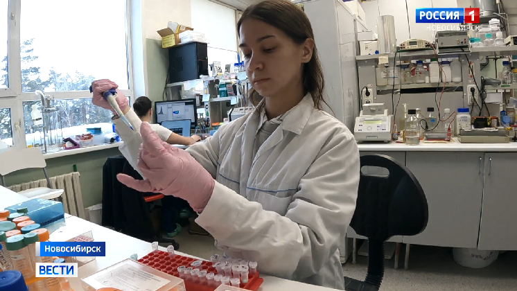 Креветки помогли учёным Новосибирска найти способ улучшить борьбу с раком