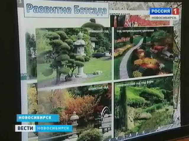 Дендропарк Новосибирск Фото Дендропарк Новосибирск Фото