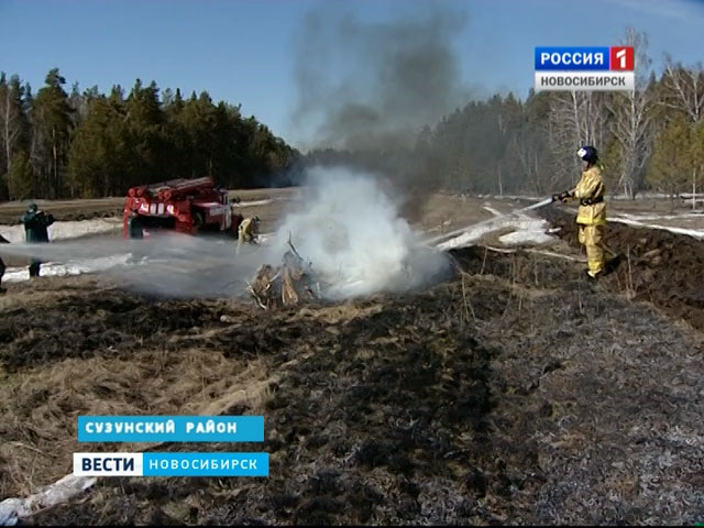 Новосибирские спасатели проводят тренировки по тушению лесных пожаров