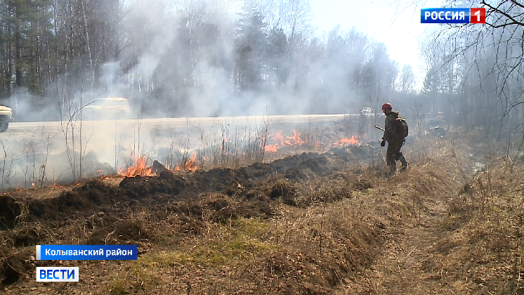 Особый противопожарный режим вводят в Новосибирской области
