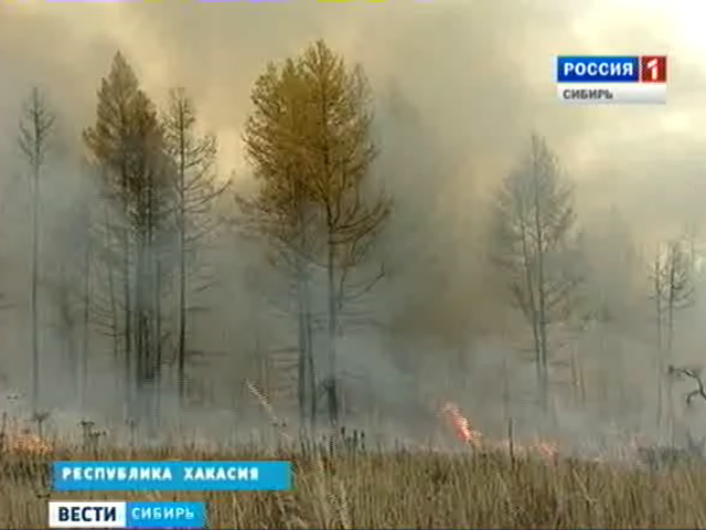 Специалисты рассказали, как охраняют лесные массивы Сибири от возгораний