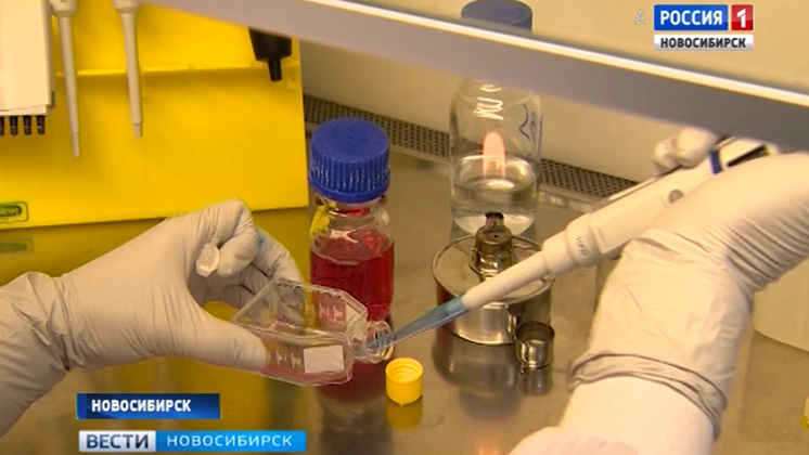Оспа против рака: новосибирский препарат для онкобольных прошел доклинические испытания