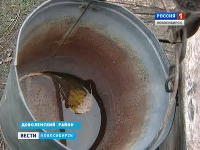 В нескольких деревнях Доволенского района из-за летней засухи высохли колодцы
