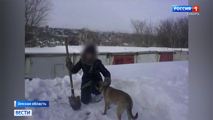 Съевшему на ужин собаку живодёру вынесли приговор в Омске