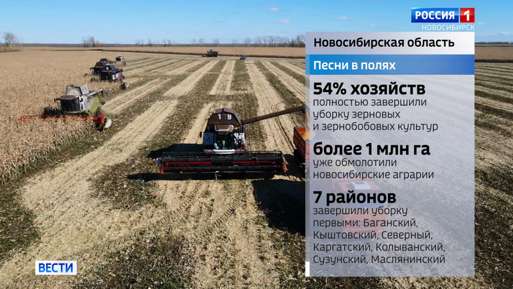 Кино о земляках и щука на восемь килограммов: обзор событий в Новосибирской области