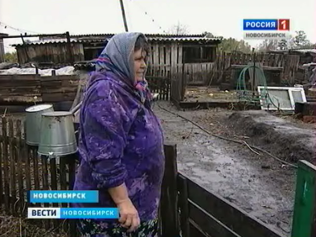 Мать-героиня из Доволенского района вынуждена жить на пенсию размером в пять тысяч рублей