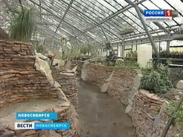 Центральный Сибирский Ботанический сад презентовал новую уникальную оранжерею