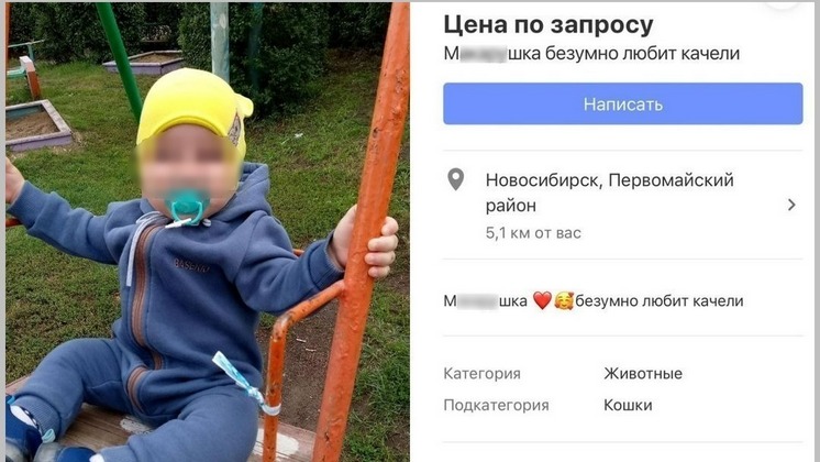 d251rp733evducjkpatp9864q5sdhbmd.jpeg
