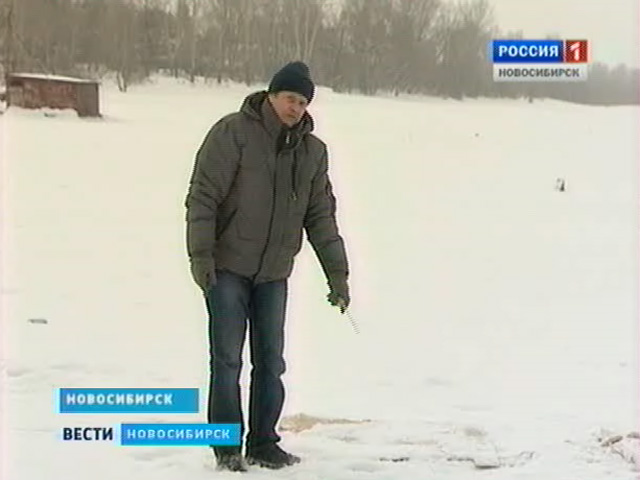 Новосибирские рыбаки сообщили о массовом заморе рыбы в Оби