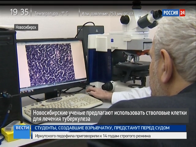 Новосибирские ученые подошли к разгадке тайны лечения тяжелых форм туберкулёза 