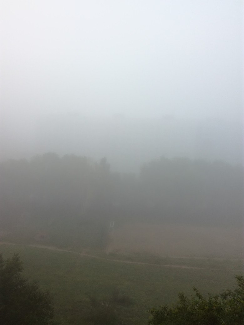 Утренний туман опустился на Новосибирск