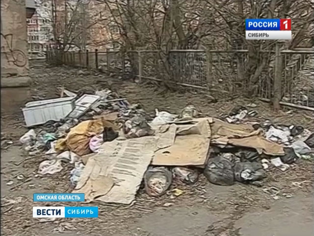 Жители одного из округов Омска пытаются бороться с соседями, выбрасывающими мусор из окон