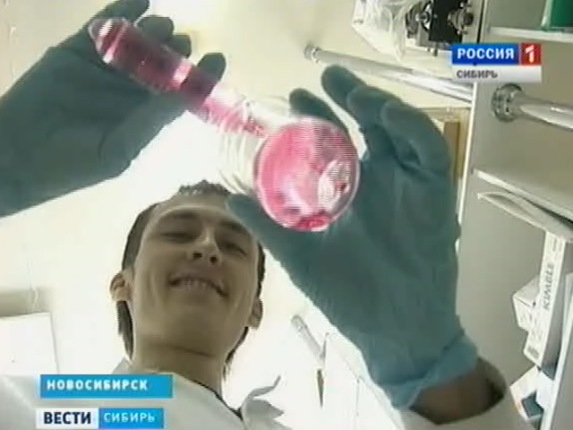 Новосибирские ученые нашли способ обезопасить кодеиносодержащие препараты