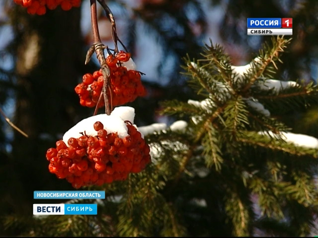 В сибирские регионы пришла весна, каких капризов ждать от погоды?