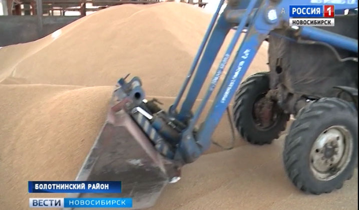Новосибирская область увеличивает объемы продажи зерна