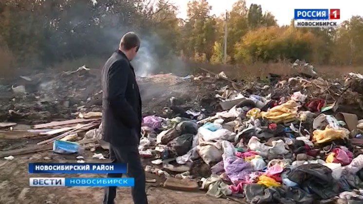 Стихийной свалкой в Новосибирском районе заинтересовались в министерстве природных ресурсов