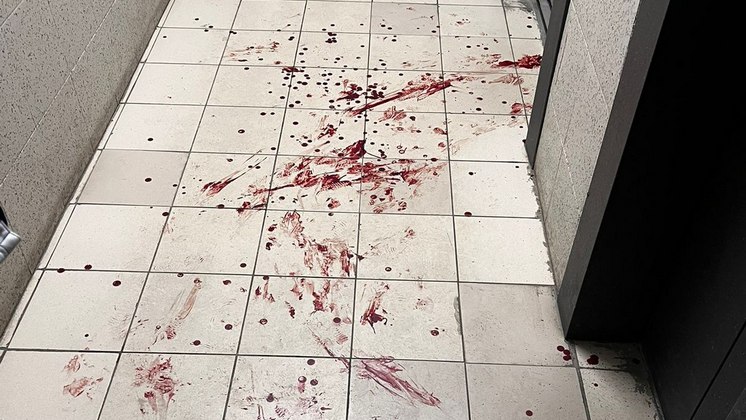 Проткнувший саблей и кинжалом родного сына новосибирец ответит перед судом