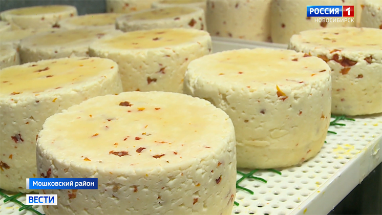 Предприниматели из Новосибирской области наладили производство сыра