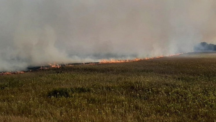 В юго-западных районах Новосибирской области на полях бушуют большие пожары