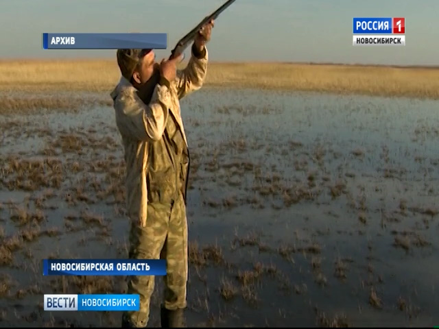 Охотничьи путевки в Новосибирской области будут разыгрывать с помощью лотереи