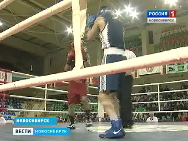 В Новосибирске завершились первенство и чемпионат Сибири по боксу