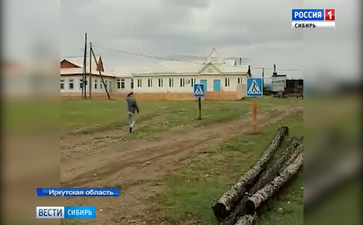 «Самый опасный в мире переход» появился посреди поляны в иркутском селе