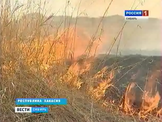 В регионах Сибири из-за сельхозпалов резко увеличилось число лесных пожаров