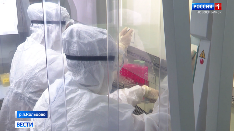В Новосибирске разработали тест-систему для определения нового омикрон-штамма коронавируса