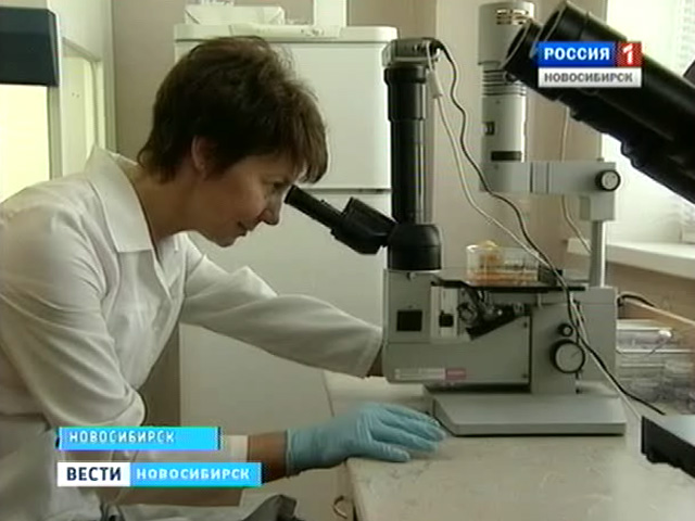 Новосибирские врачи знают, как вернуть здоровье после инсульта