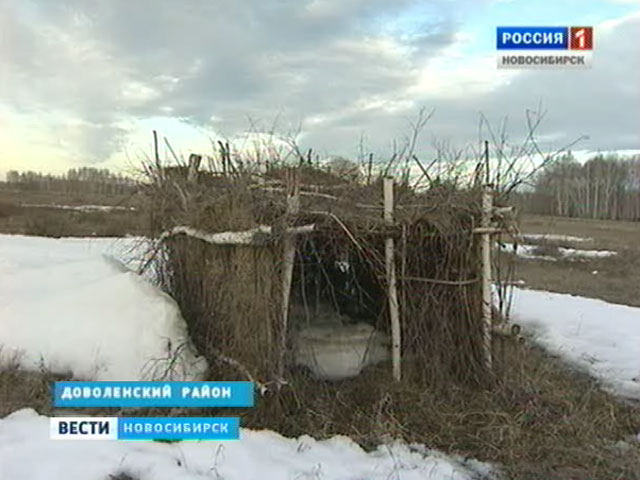 Сезон охоты на боровую дичь открылся в Новосибирской области