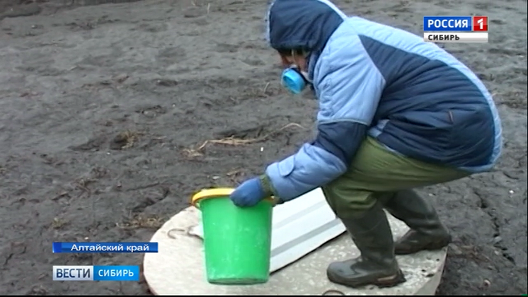 В Алтайском крае проводят дезинфекцию дворов после паводка