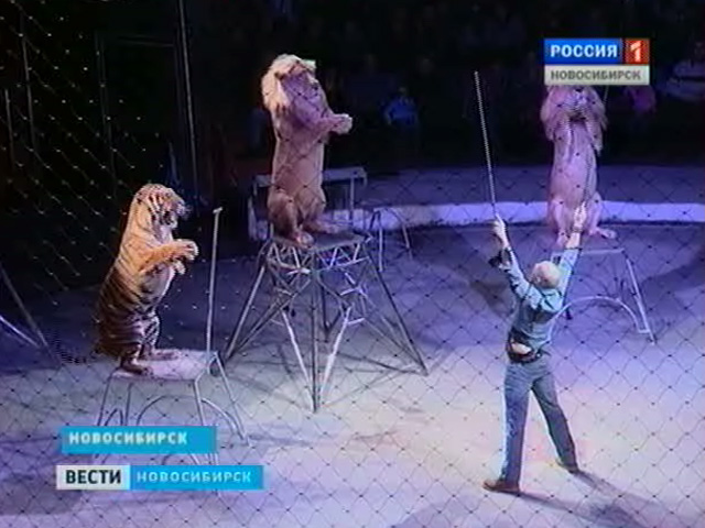 В Новосибирском цирке новая программа &quot;Сны Египта&quot;