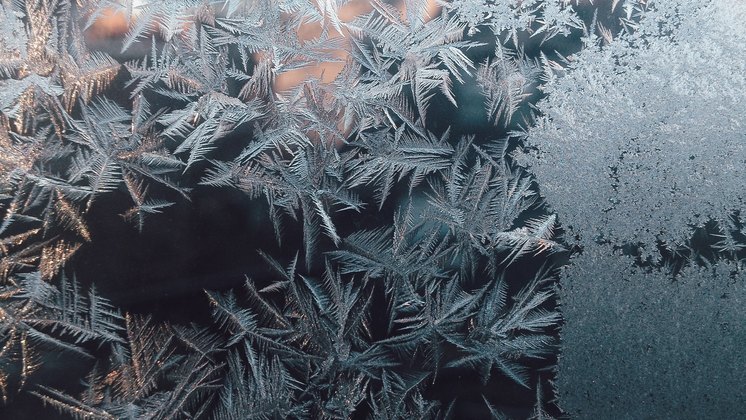 Похолодание до -29 градусов спрогнозировали новосибирские синоптики на 23 и 24 ноября