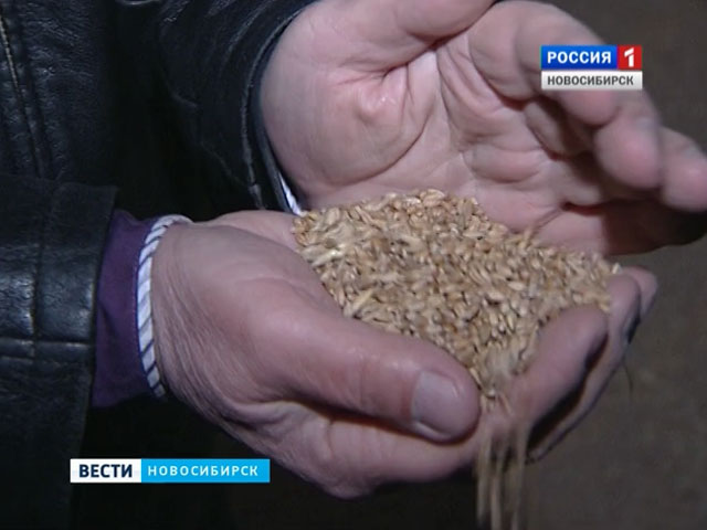 Новосибирские аграрии испытывают трудности с получением страховки