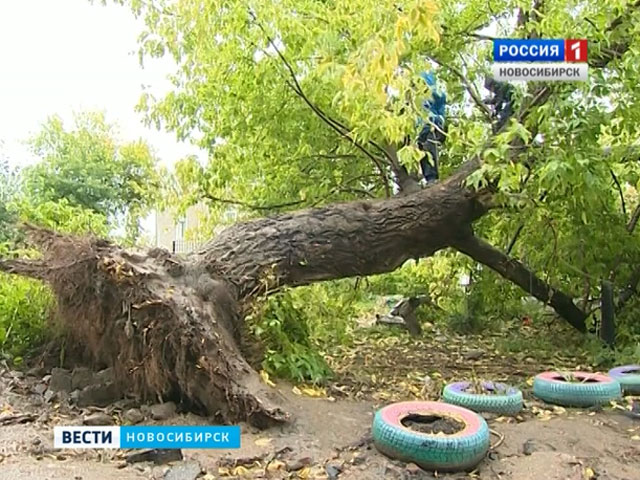 Ураганный ветер Новосибирск должен встречать во всеоружии
