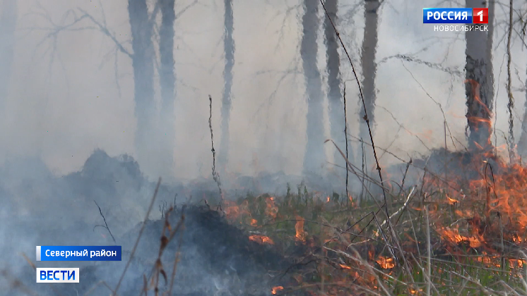 В Новосибирской области продолжают гореть леса: задымление фиксируют в сёлах нескольких районов